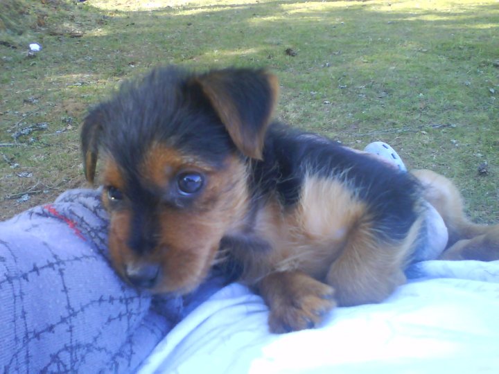 20480_100361703334673_100000825307399_7614_4274961_n